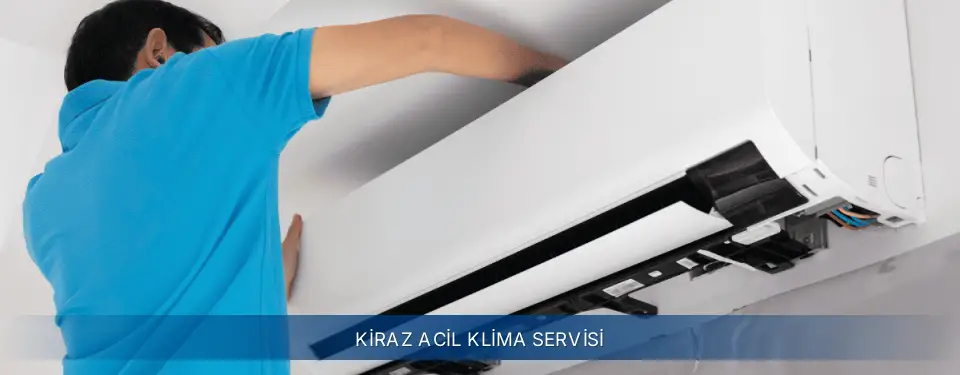 Kiraz İlçemi Electrolux Acil Klima Servisi