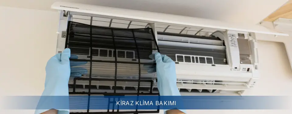 Kiraz İlçemi Electrolux Klima Bakımı
