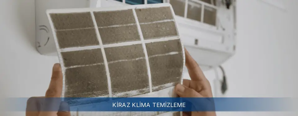 Kiraz İlçemi Electrolux Klima Temizleme